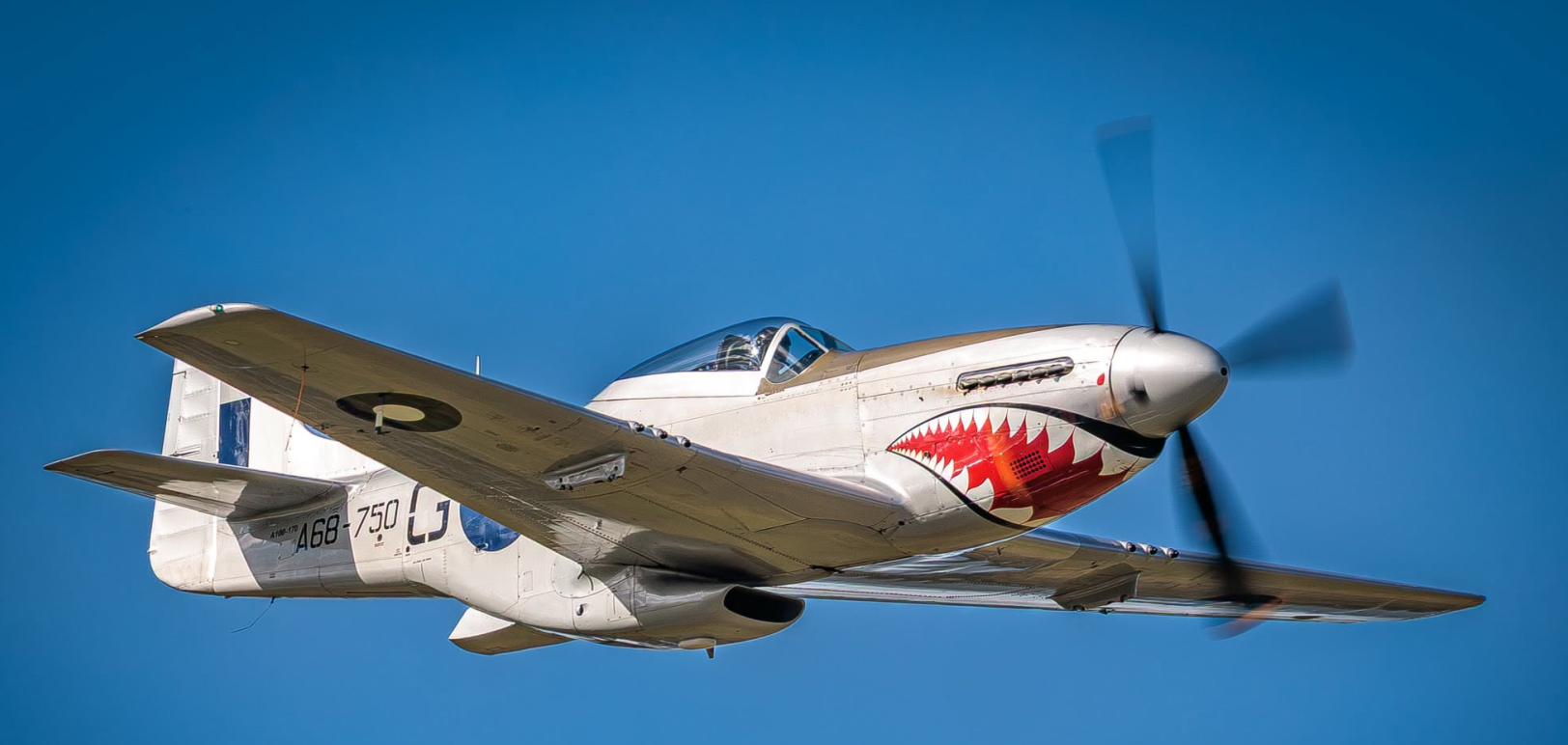 Polished P-51 Mustang A68-750 with shark-mouth nose art in flight